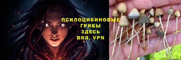 гидропоника Майский