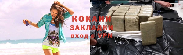 прущие грибы Медногорск