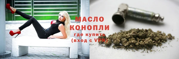 гидра Медвежьегорск