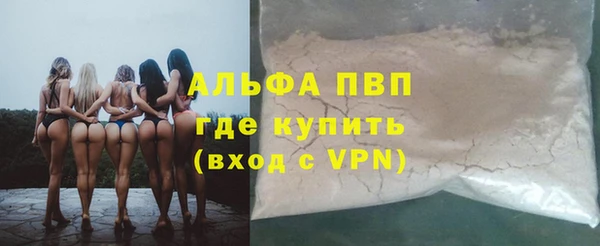 прущие грибы Медногорск