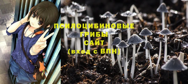 ALPHA-PVP Магас