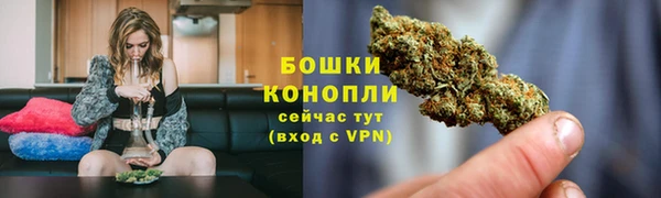 крисы Мегион