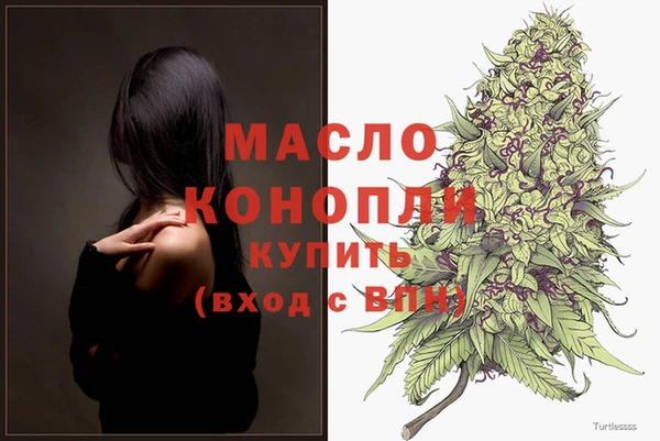 крисы Мегион