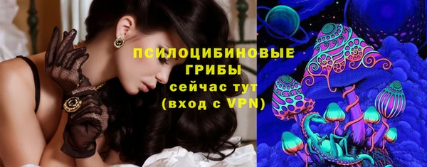 прущие грибы Медногорск