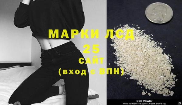 крисы Мегион