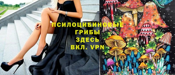 крисы Мегион